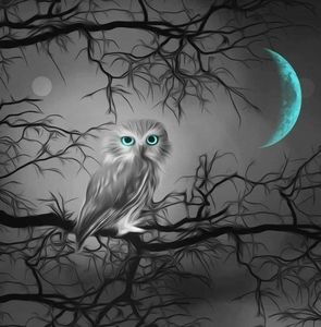 Meet your Posher, Marie